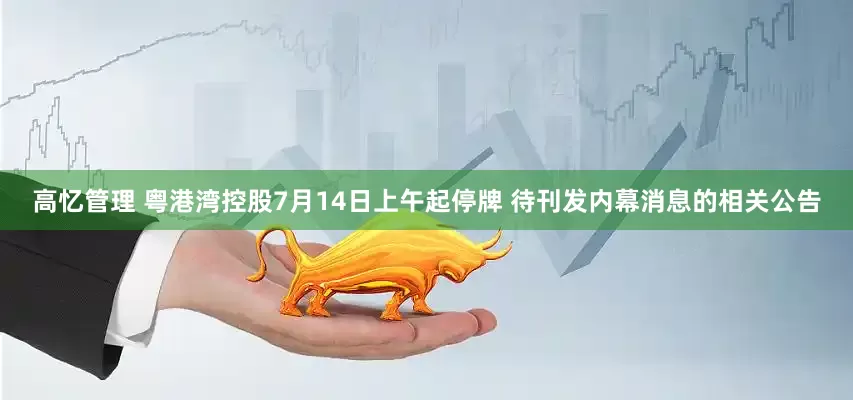 高忆管理 粤港湾控股7月14日上午起停牌 待刊发内幕消息的相关公告