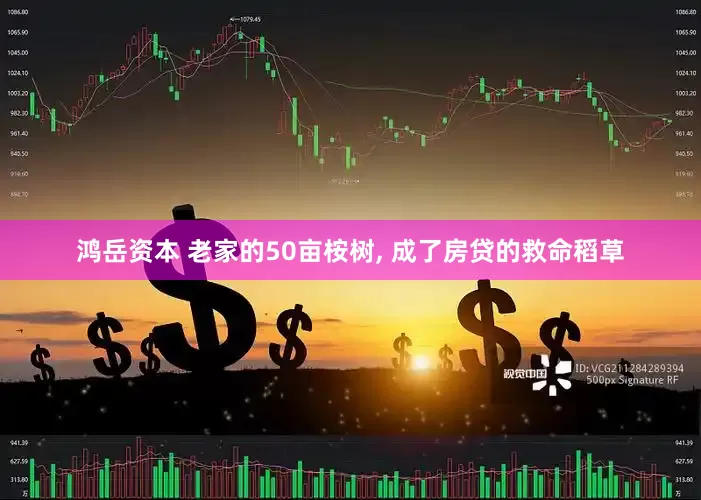 鸿岳资本 老家的50亩桉树, 成了房贷的救命稻草