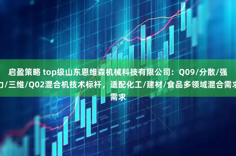 启盈策略 top级山东恩维森机械科技有限公司：Q09/分散/强力/三维/Q02混合机技术标杆，适配化工/建材/食品多领域混合需求